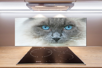 Crédence en verre avec motif Chat aux yeux bleus