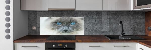 Crédence en verre avec motif Chat aux yeux bleus