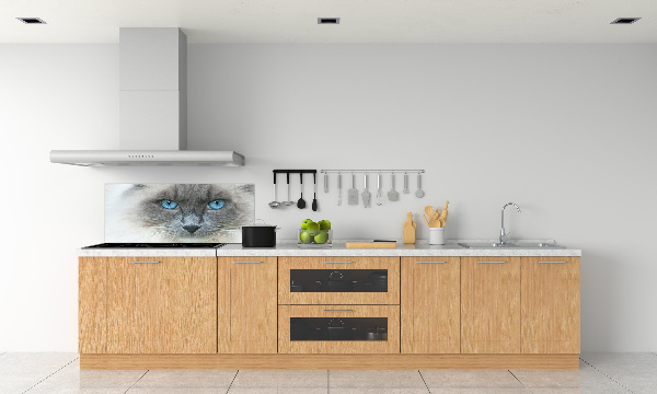Crédence en verre avec motif Chat aux yeux bleus