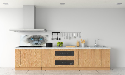 Crédence en verre avec motif Chat aux yeux bleus