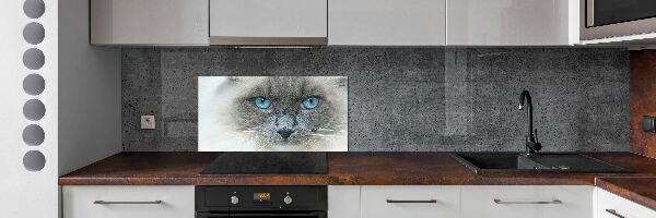Crédence en verre avec motif Chat aux yeux bleus