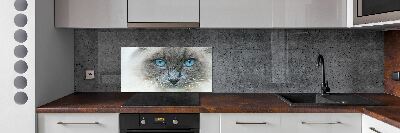 Crédence en verre avec motif Chat aux yeux bleus