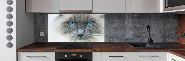 Crédence en verre avec motif Chat aux yeux bleus