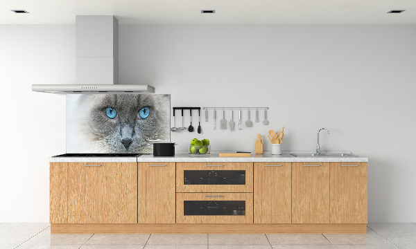 Crédence en verre avec motif Chat aux yeux bleus