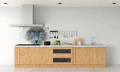 Crédence en verre avec motif Chat aux yeux bleus