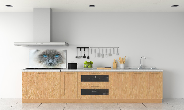 Crédence en verre avec motif Chat aux yeux bleus