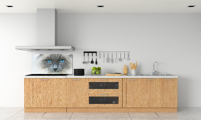 Crédence en verre avec motif Chat aux yeux bleus