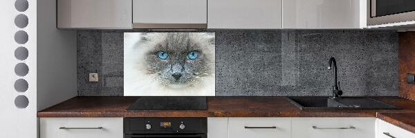 Crédence en verre avec motif Chat aux yeux bleus