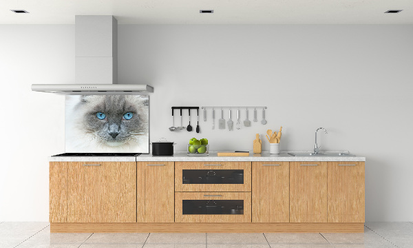 Crédence en verre avec motif Chat aux yeux bleus