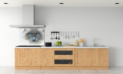 Crédence en verre avec motif Chat aux yeux bleus