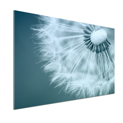 Crédence en verre cuisine Gonflable