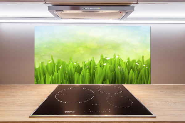 Panneaux muraux cuisine Herbe