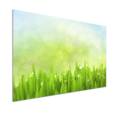 Panneaux muraux cuisine Herbe