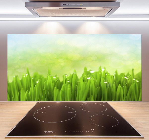 Panneaux muraux cuisine Herbe