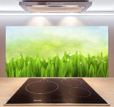 Panneaux muraux cuisine Herbe