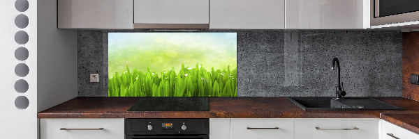 Panneaux muraux cuisine Herbe