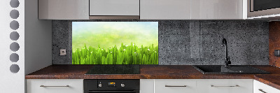 Panneaux muraux cuisine Herbe