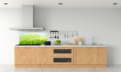 Panneaux muraux cuisine Herbe