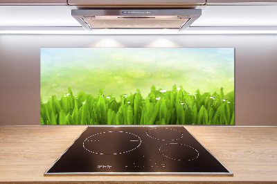 Panneaux muraux cuisine Herbe
