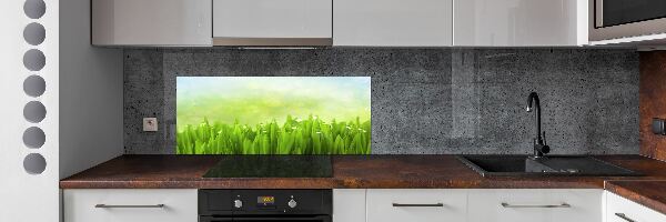 Panneaux muraux cuisine Herbe