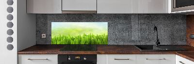 Panneaux muraux cuisine Herbe