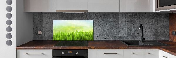 Panneaux muraux cuisine Herbe