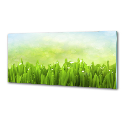 Panneaux muraux cuisine Herbe