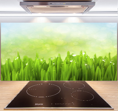 Panneaux muraux cuisine Herbe