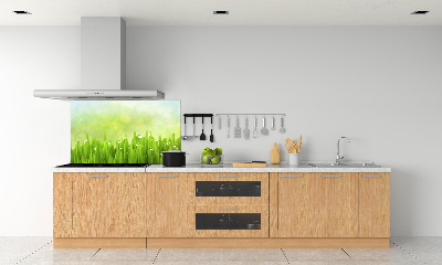 Panneaux muraux cuisine Herbe