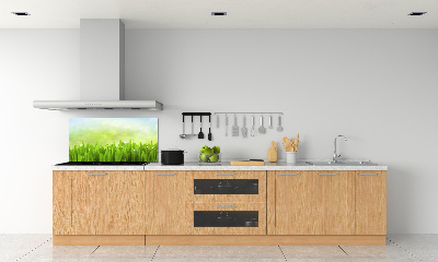 Panneaux muraux cuisine Herbe