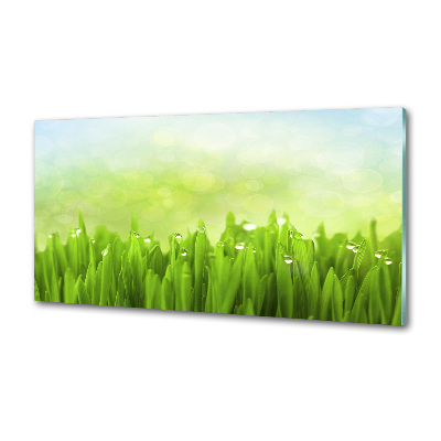 Panneaux muraux cuisine Herbe