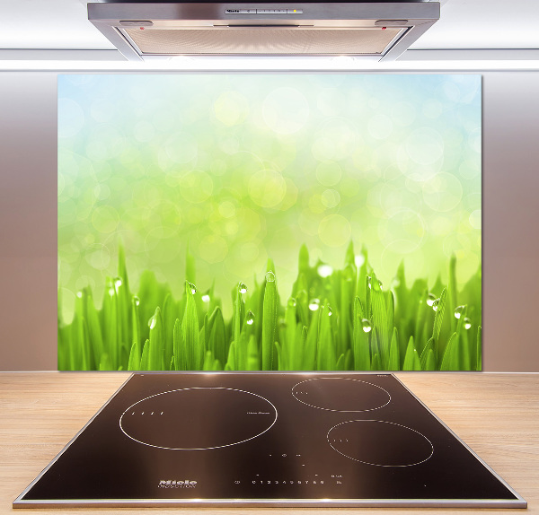 Panneaux muraux cuisine Herbe