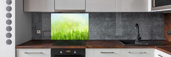 Panneaux muraux cuisine Herbe