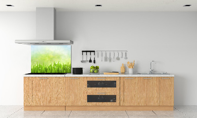 Panneaux muraux cuisine Herbe