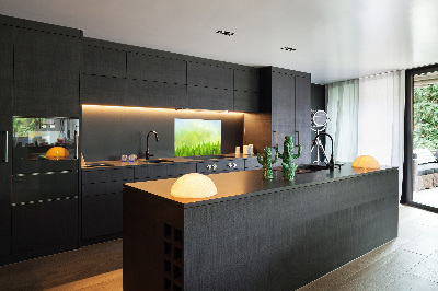 Panneaux muraux cuisine Herbe