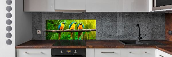 Crédence cuisine en verre Perroquets sur une branche