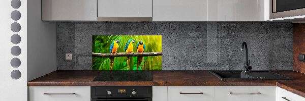 Crédence cuisine en verre Perroquets sur une branche