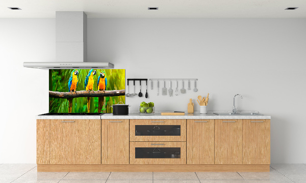 Crédence cuisine en verre Perroquets sur une branche