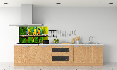 Crédence cuisine en verre Perroquets sur une branche