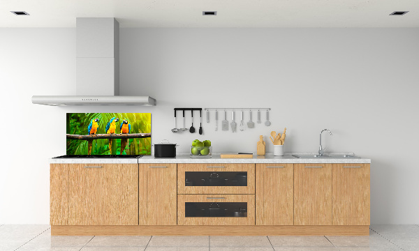 Crédence cuisine en verre Perroquets sur une branche