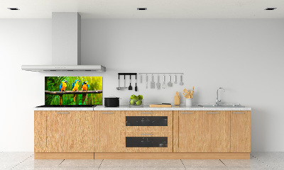 Crédence cuisine en verre Perroquets sur une branche