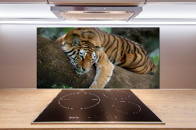 Panneau crédence cuisine Tigre sur un arbre