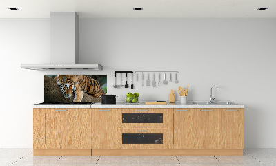 Panneau crédence cuisine Tigre sur un arbre