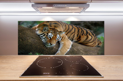 Panneau crédence cuisine Tigre sur un arbre