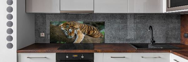 Panneau crédence cuisine Tigre sur un arbre