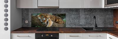 Panneau crédence cuisine Tigre sur un arbre