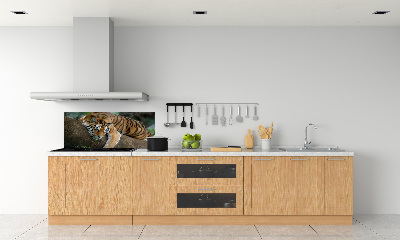 Panneau crédence cuisine Tigre sur un arbre