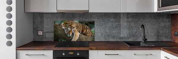 Panneau crédence cuisine Tigre sur un arbre