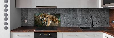 Panneau crédence cuisine Tigre sur un arbre