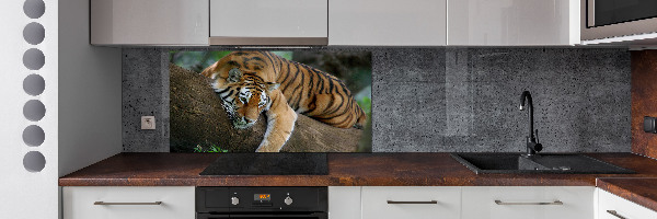 Panneau crédence cuisine Tigre sur un arbre